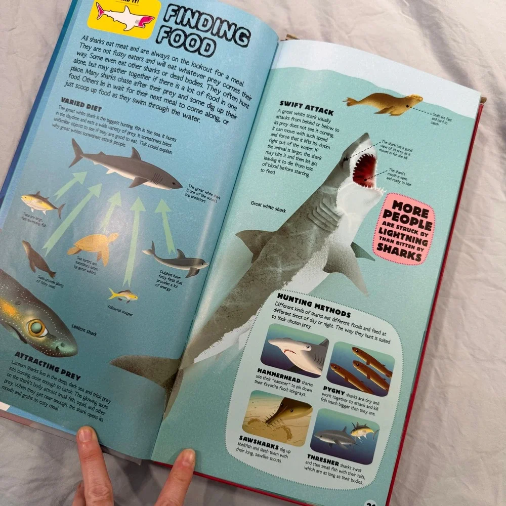Silver Dolphin Build The Shark Book and 35 Piece Great White Model Kit 2.5 Feet